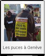 Les puces à Genève